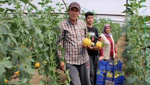 'Olmaz' diyenlere aldırmadı, tanesini 300 liradan satıyor