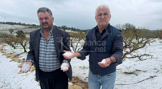 Erdemli'de tarım ürünlerini dondan sonra dolu vurdu