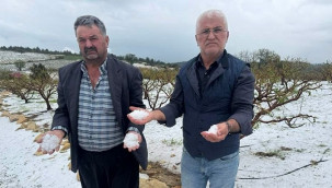 Erdemli'de tarım ürünlerini dondan sonra dolu vurdu