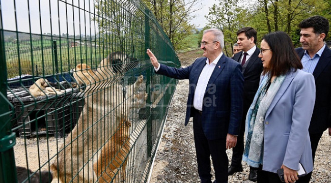 Listede Karaman'da var, toplamda 51 ilde yapılacak