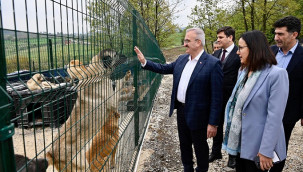 Listede Karaman'da var, toplamda 51 ilde yapılacak