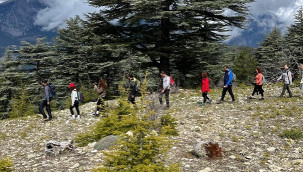 Toros Dağları'nda şakayık zamanı