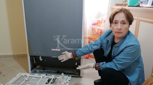 Yazlık dairelere hırsızlığa girip, tavla oynamışlar