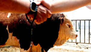 540 bin TL'ye alıcısını buldu