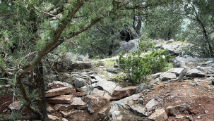 Eski vali ile emekli albay, ormanlık arazide kazı yaparken yakalandı