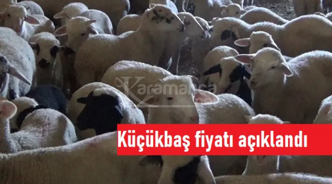 Karaman'da kurbanlık küçükbaş fiyatları belli oldu