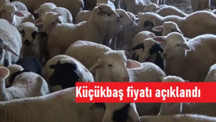 Karaman'da kurbanlık küçükbaş fiyatları belli oldu