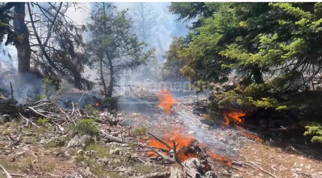 Erdemli'de orman yangını