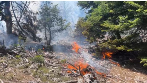 Erdemli'de orman yangını