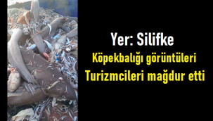 Silifke'de tatilcileri tedirgin eden görüntü