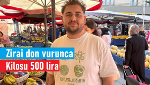 Zirai donun vurduğu meyve, bu şehirde kilosu 500 liradan satışta