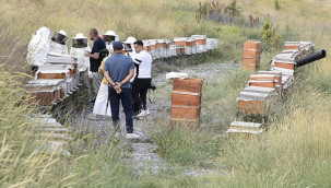 150 kovandan 1,5 ton bal almayı hedefliyorlar