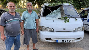 Ağacın kırılan dalı, piknik yapanların üzerine düştü: 11 yaralı