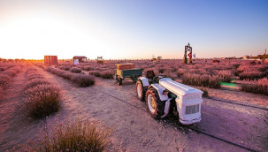 Bir zamanlar moloz yığınlarıyla kaplıydı, binlerce kişi ziyaret ediyor