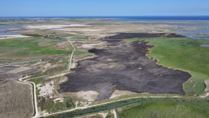 Göksu Deltası'nda yangında zarar gören alan havadan görüntülendi