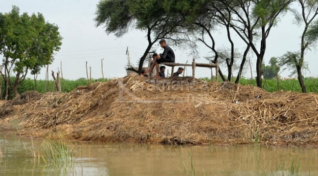 Hayatını kaybedenlerin sayısı 104'e yükseldi