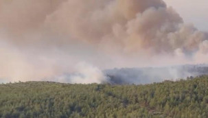 Silifke'de orman yangını