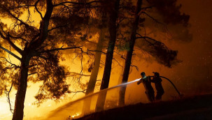 15 bin dönüm ormanın küle döndü, işte yangının çıkış nedeni