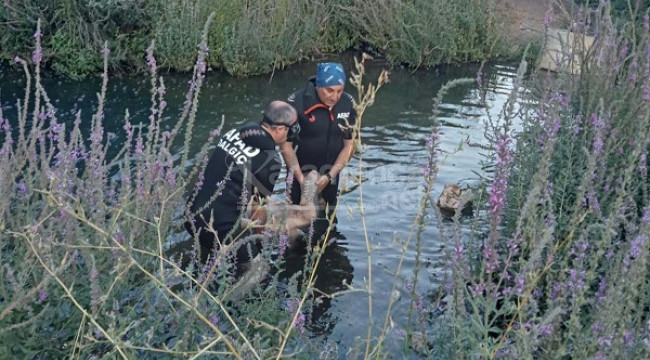 Akıntıya kapılan Fahrettin Çerçi hayatını kaybetti