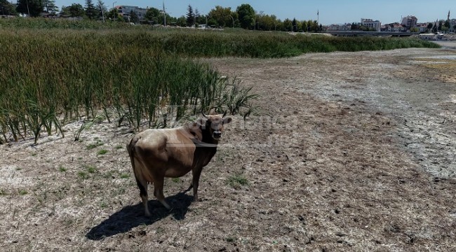 'Beyşehir Gölü vefat etti'
