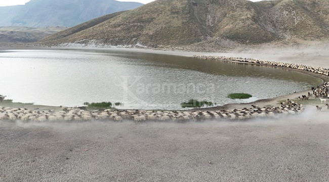 Binlerce küçükbaşla bu yaylalara geliyorlar