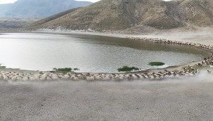 Binlerce küçükbaşla bu yaylalara geliyorlar