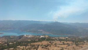 Karaman'da orman yangını