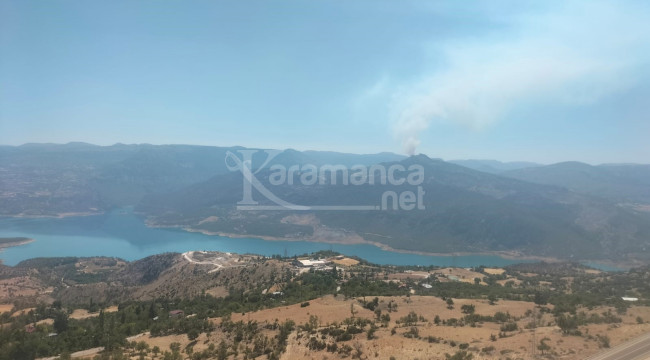 Karaman'da orman yangını