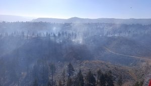 Karaman'daki orman yangını kontrol altında