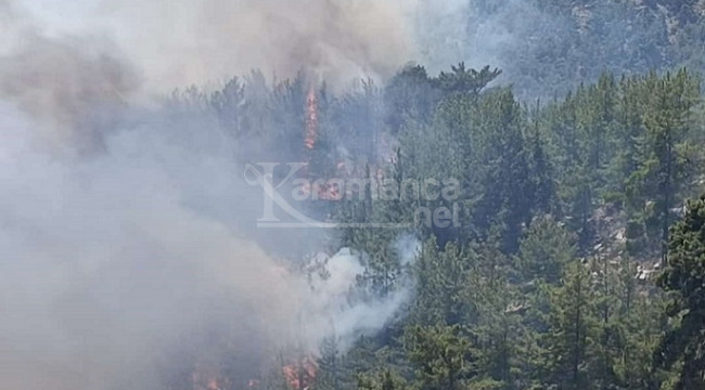 Silifke'de 3 ayrı noktada yangın
