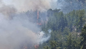 Silifke'de 3 ayrı noktada yangın