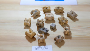 Türkmen Karahöyük'te bulundu, tam 2 bin yıllık