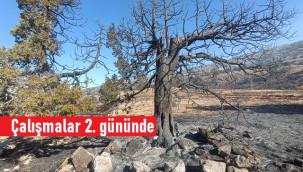 Ayrancı'daki yangınla mücadele ikinci gününde sürüyor