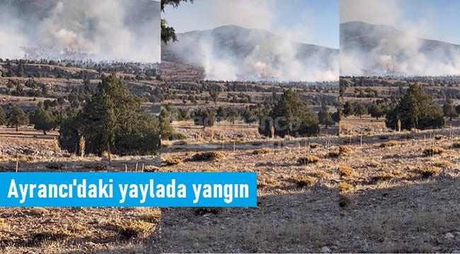 Ayrancı'nın yayla bölgesinde yangın alarmı