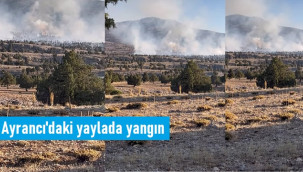 Ayrancı'nın yayla bölgesinde yangın alarmı