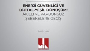 Milli İstihbarat Akademisi'nden enerji güvenliği analizi
