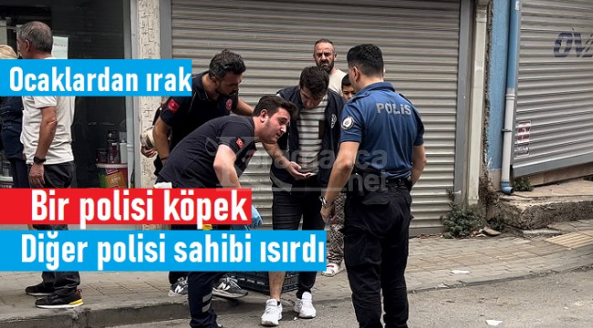 Olaya giden polislerden birini köpek, diğerini ise sahibi ısırdı