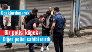 Olaya giden polislerden birini köpek, diğerini ise sahibi ısırdı