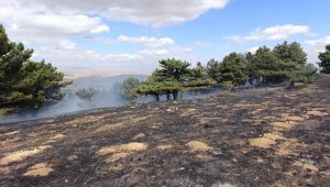 Kadınhanı'ndaki orman yangını kontrol altında