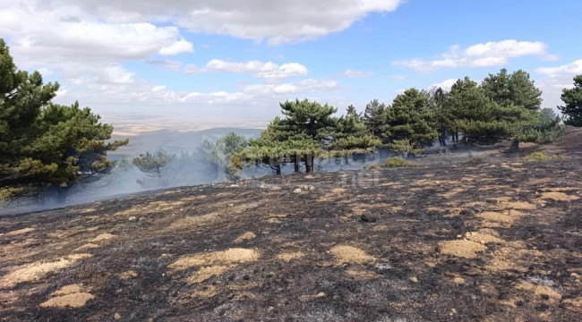 Kadınhanı'ndaki orman yangını kontrol altında