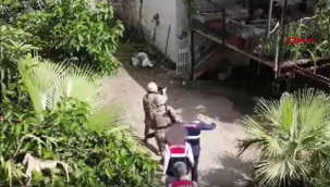 Mut ve Gülnar'da uyuşturucu operasyonu