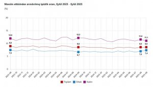 TÜİK: İşsizlik oranı eylülde sabit kaldı