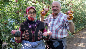 Zirai don ve dolu zararı sonrası rekolte beklentisi 800 bin ton