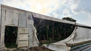 Bozyazı'da hortum ve fırtına seralara zarar verdi