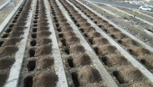 Ekipler aralıksız çalışıyor, 500 mezar kazıldı