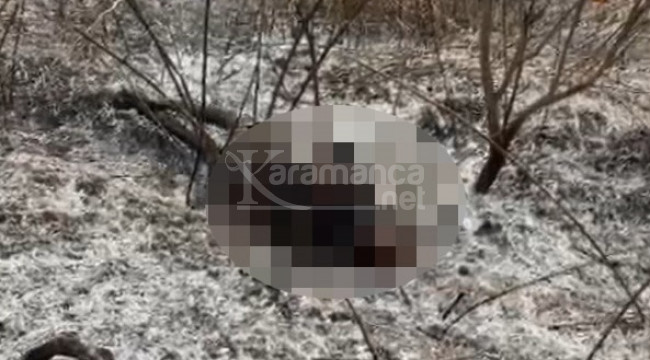 Gülnar'da yürek burkan ölüm