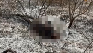 Gülnar'da yürek burkan ölüm