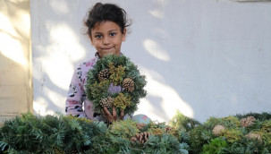 Ormandan toplayıp Avrupa'ya gönderiyorlar, tanesi 30 lira