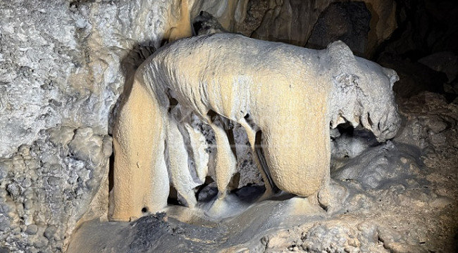 Ormanın içinde 60 metre derinlikte, ilgi bekliyor