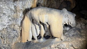 Ormanın içinde 60 metre derinlikte, ilgi bekliyor